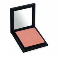 Q Compact Blusher No 480